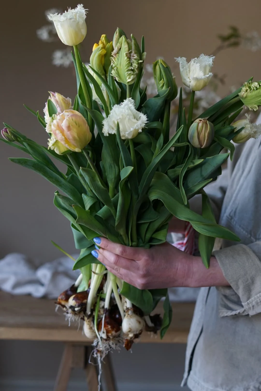 British flowers locally grown parrot tulips and belle époque tulips