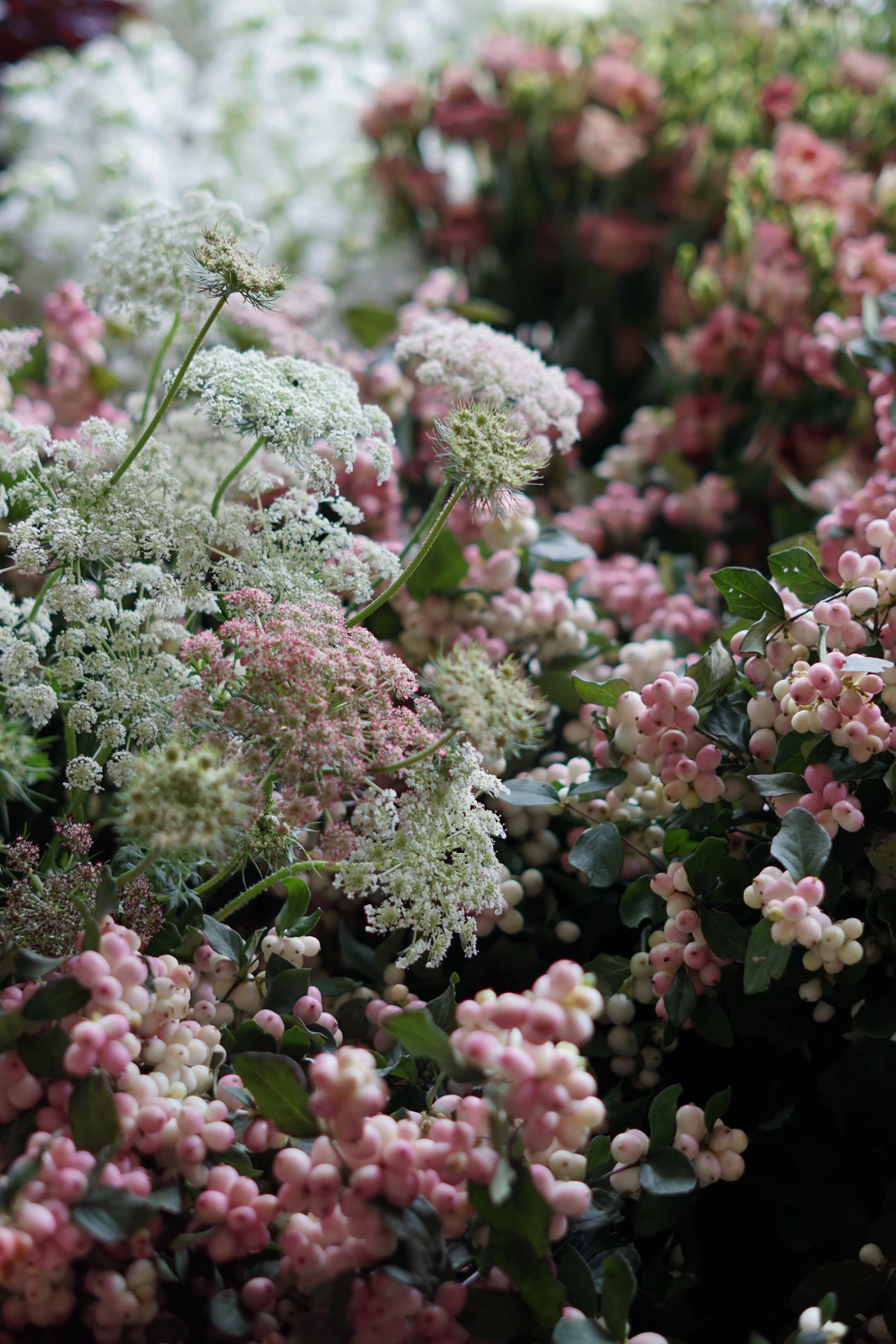 pale pink snowberries and daucus for September wedding flowers