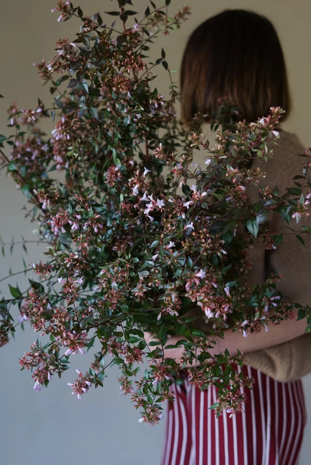 A Year in flowers: sharing snippets of seasonal flowers from this past year as a wedding florist