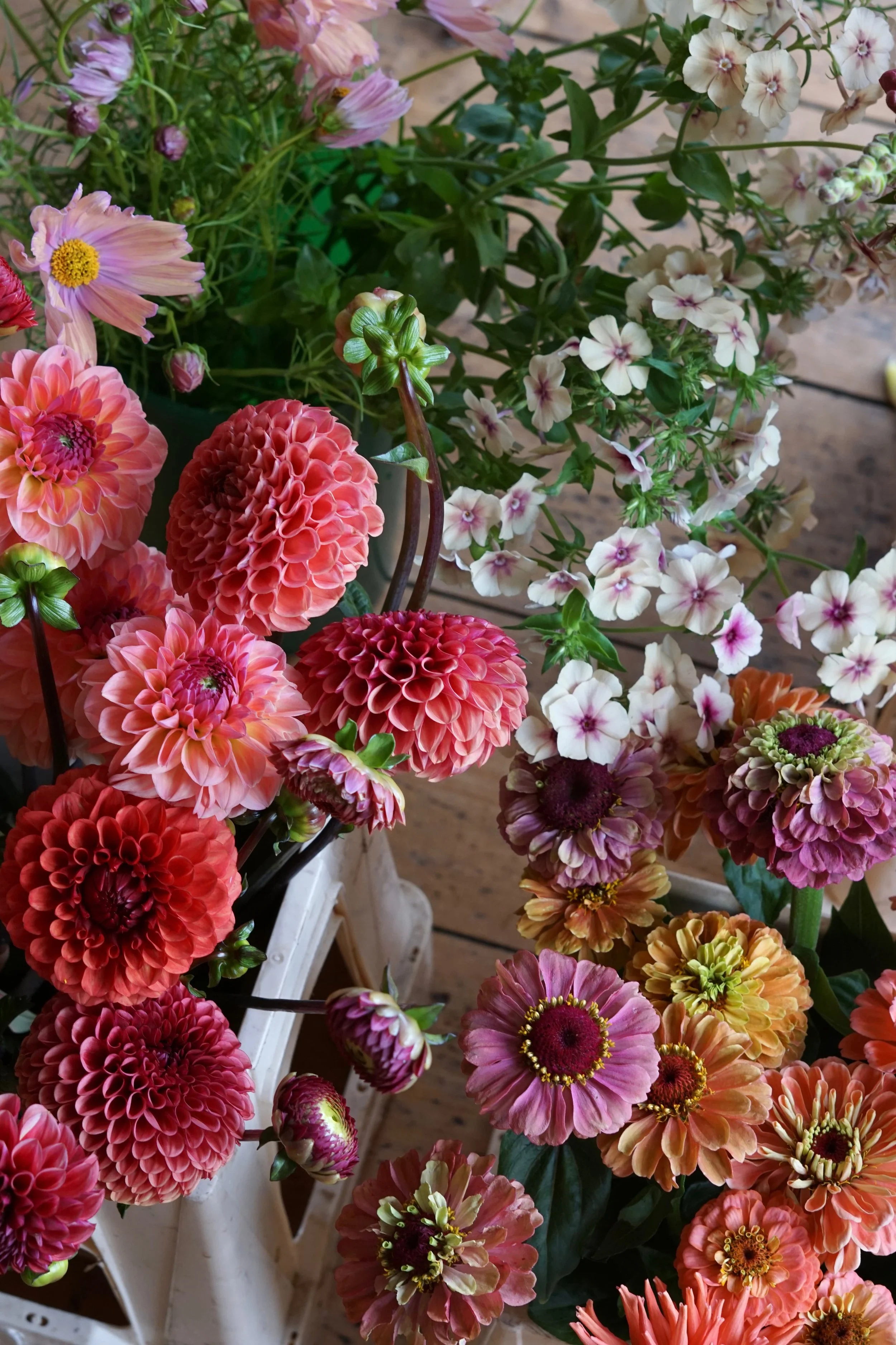 buckets of locally grown flowers in North Devon florist