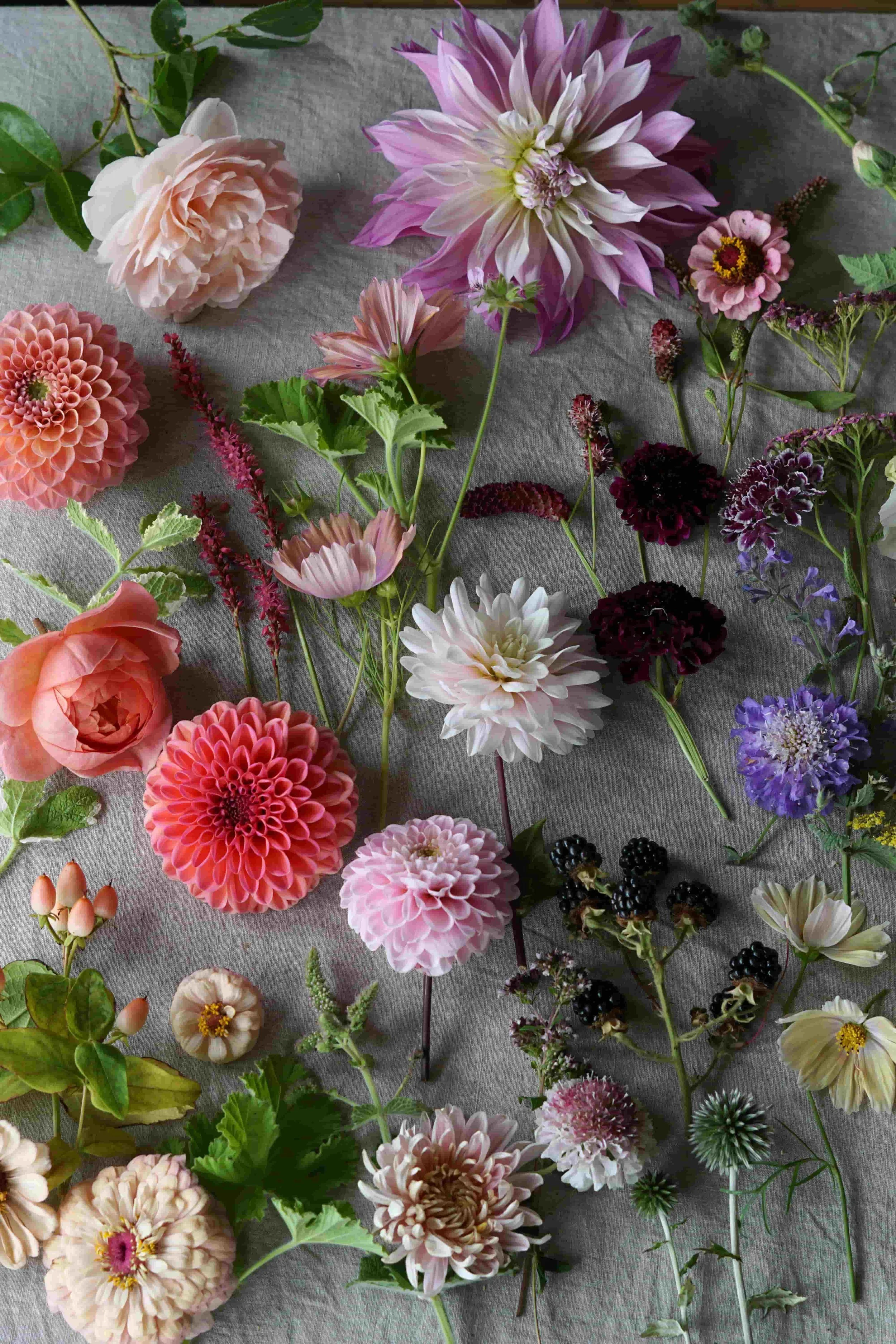 British flower colour palette pink, lilac, coral and purple