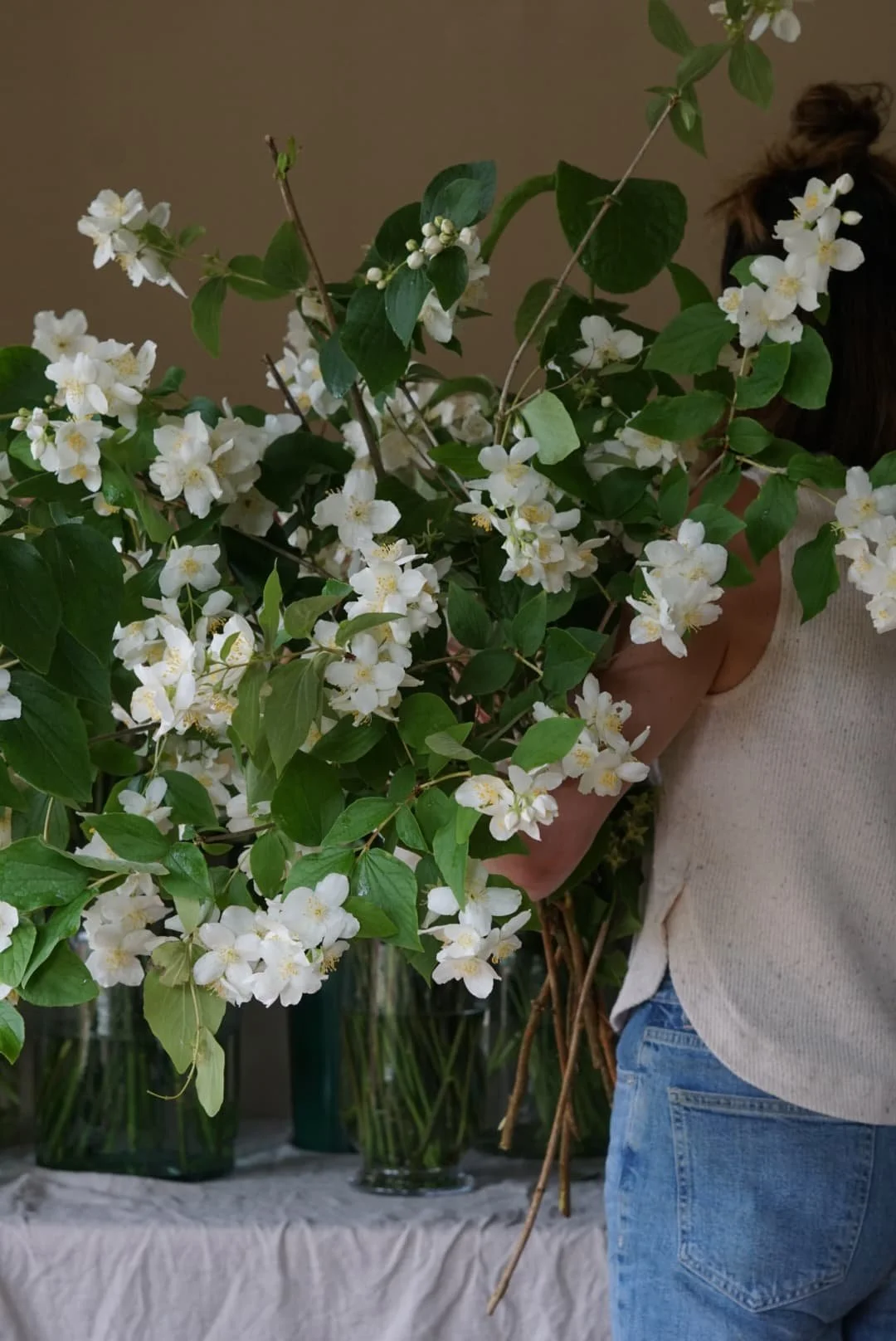 florist holding a huge bunch of locally grown seasonal mock orange foliage