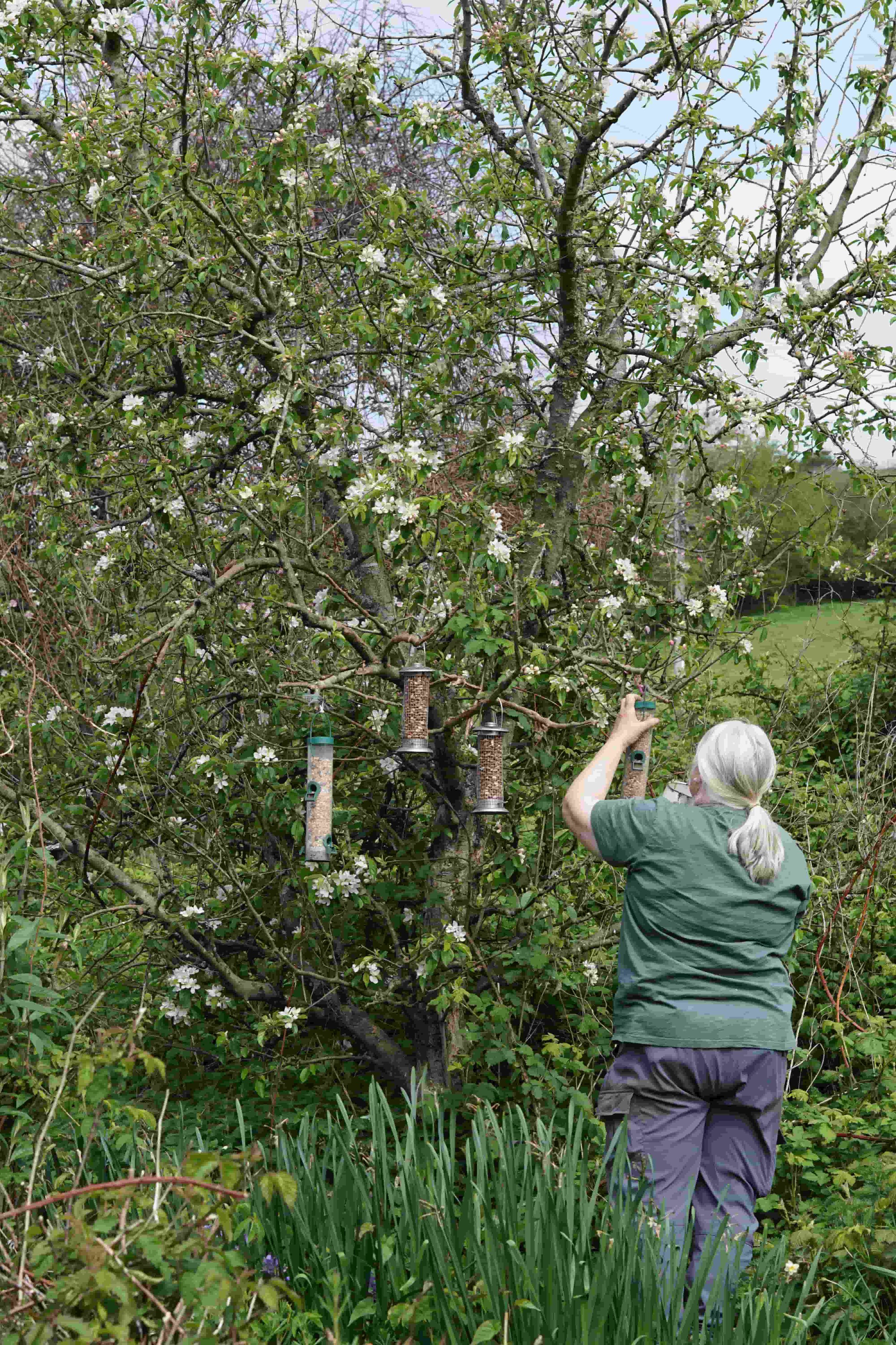 Devon flower farmer feeding the birds on flower farm