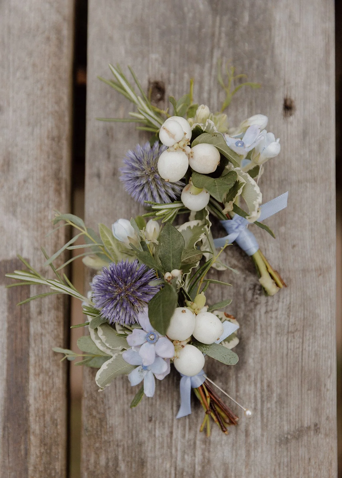 blue and white buttonholes with thistle, snowberry and rosemary