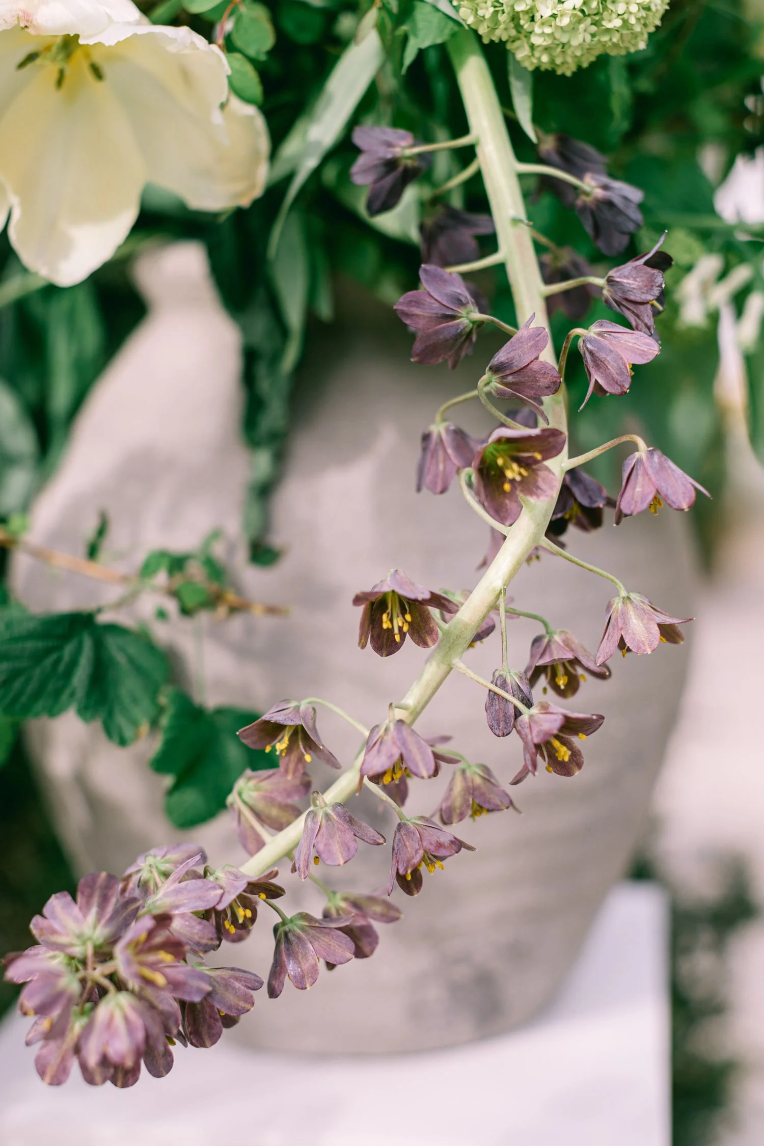 fritillary persicaria with British grown peach tulips against stone vase for a south devon outdoor wedding ceremony