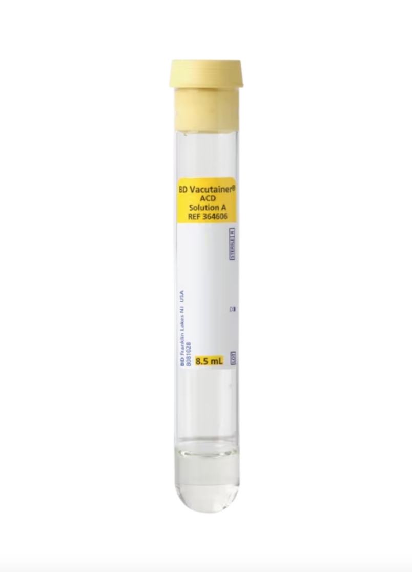 BD Vacutainer Venous Blood Collection Tube Whole Blood Tube ACD Solution A Additive 16 X 100 mm 8.5 mL Yellow Conventional Closure Glass Tube | 364606