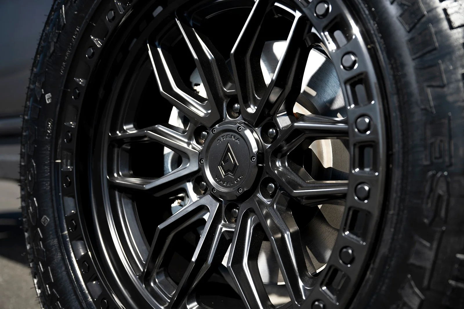 Raptors_9_websize (1).jpg