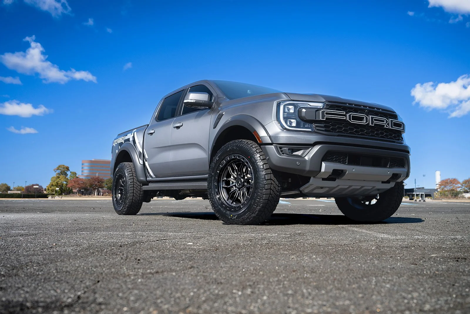 Raptors_1_websize (1).jpg