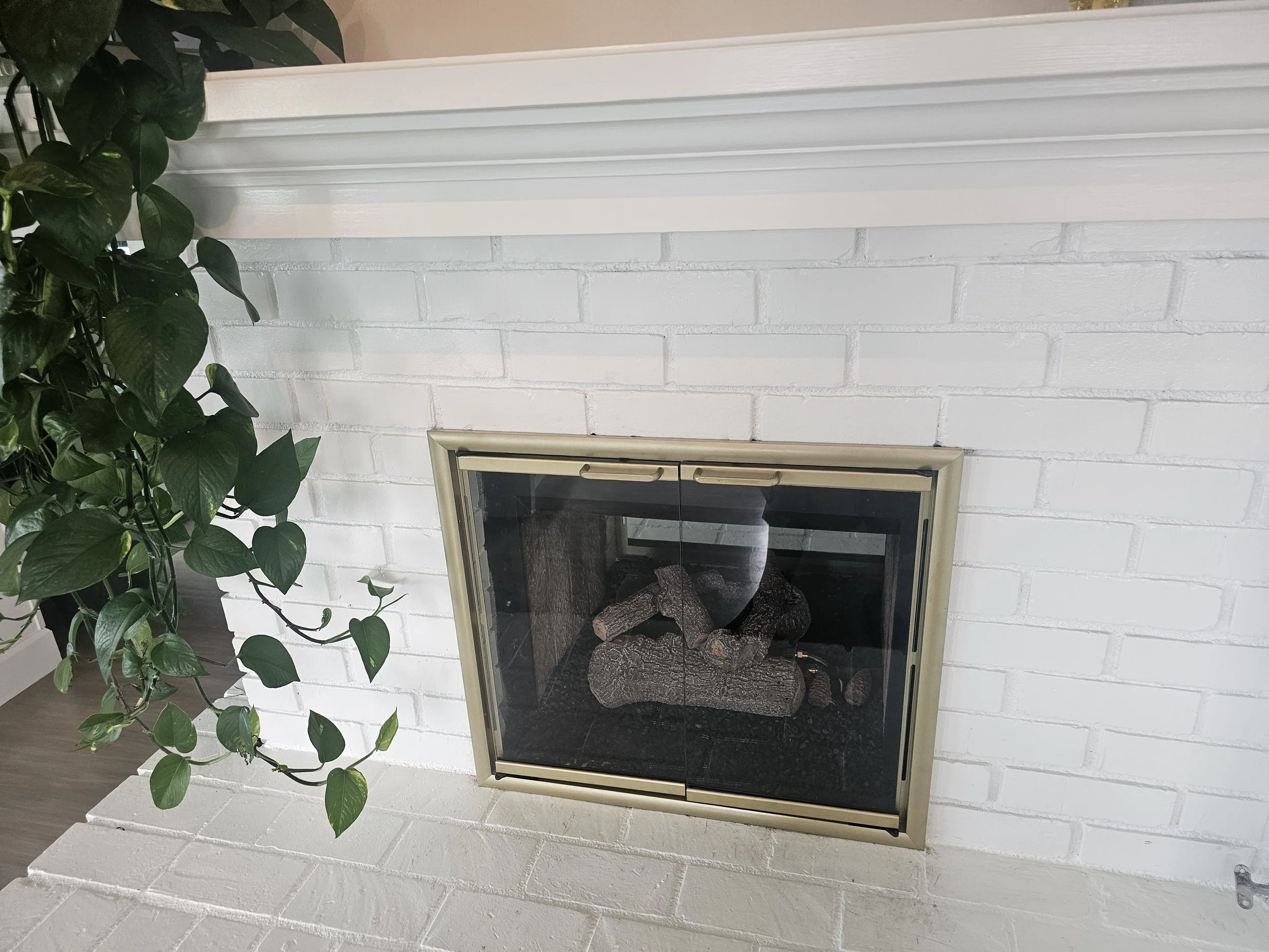 White brick fireplace with a gold trim and glass doors, showing stacked logs inside, next to a green leafy plant.