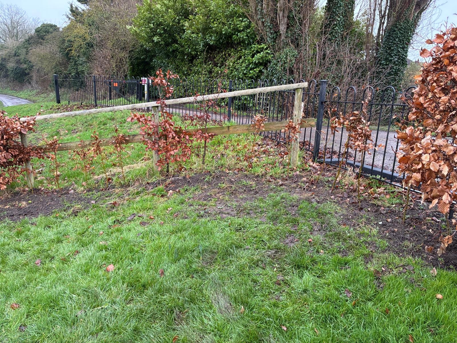 WhatsApp Image 2026-02-06 at 14.39.48 (6).jpeg