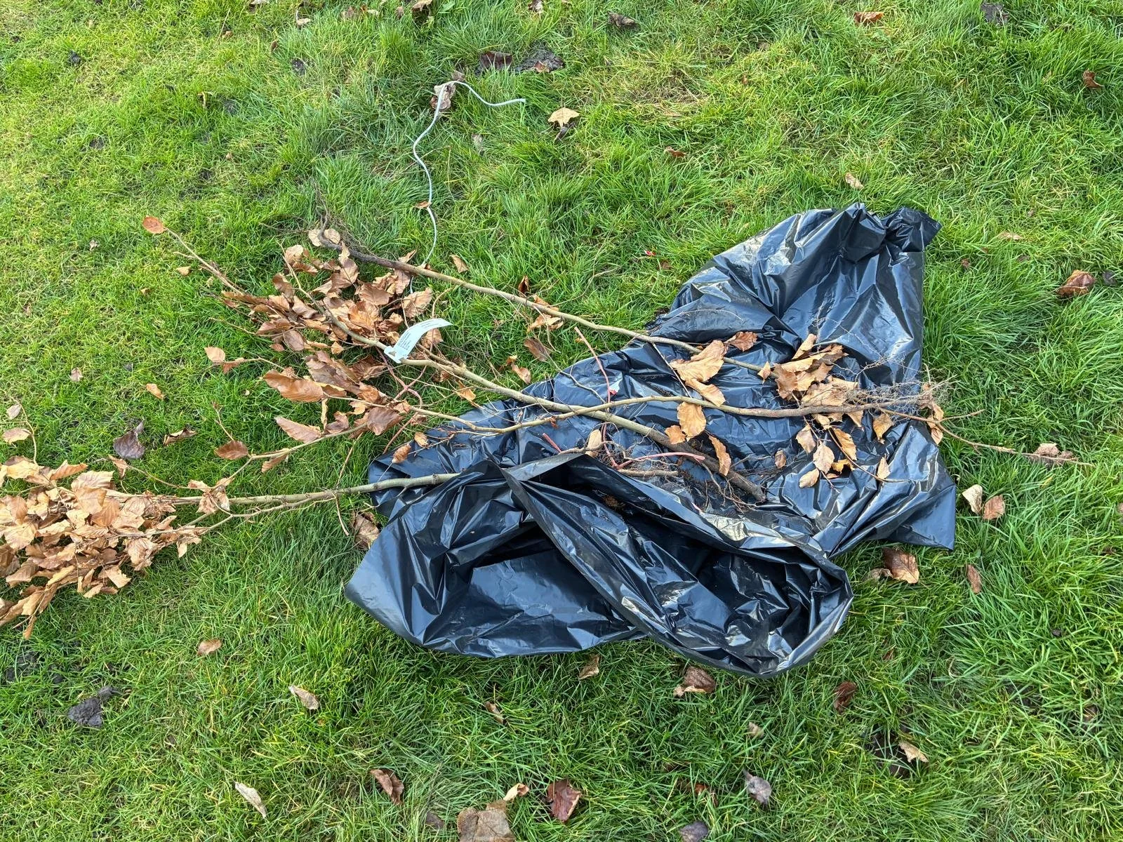 WhatsApp Image 2026-02-06 at 14.39.48 (5).jpeg