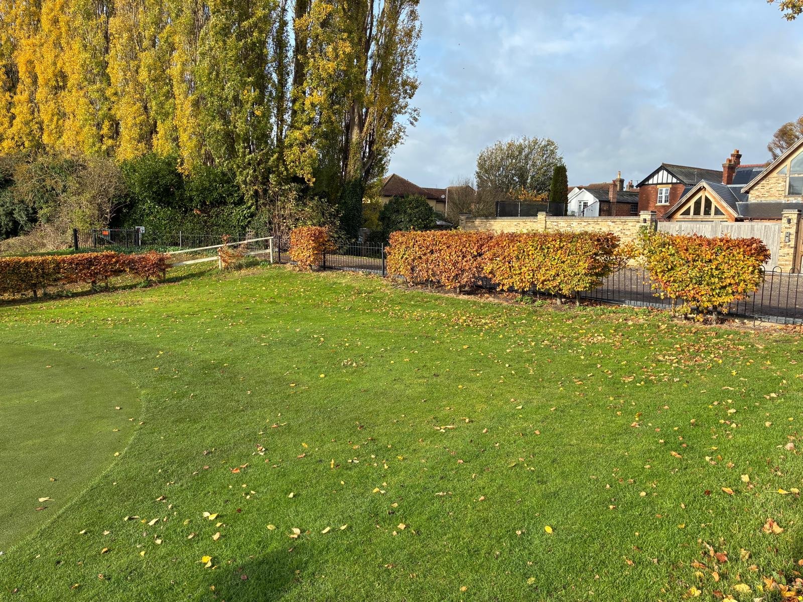 WhatsApp Image 2026-02-06 at 14.39.48 (1).jpeg