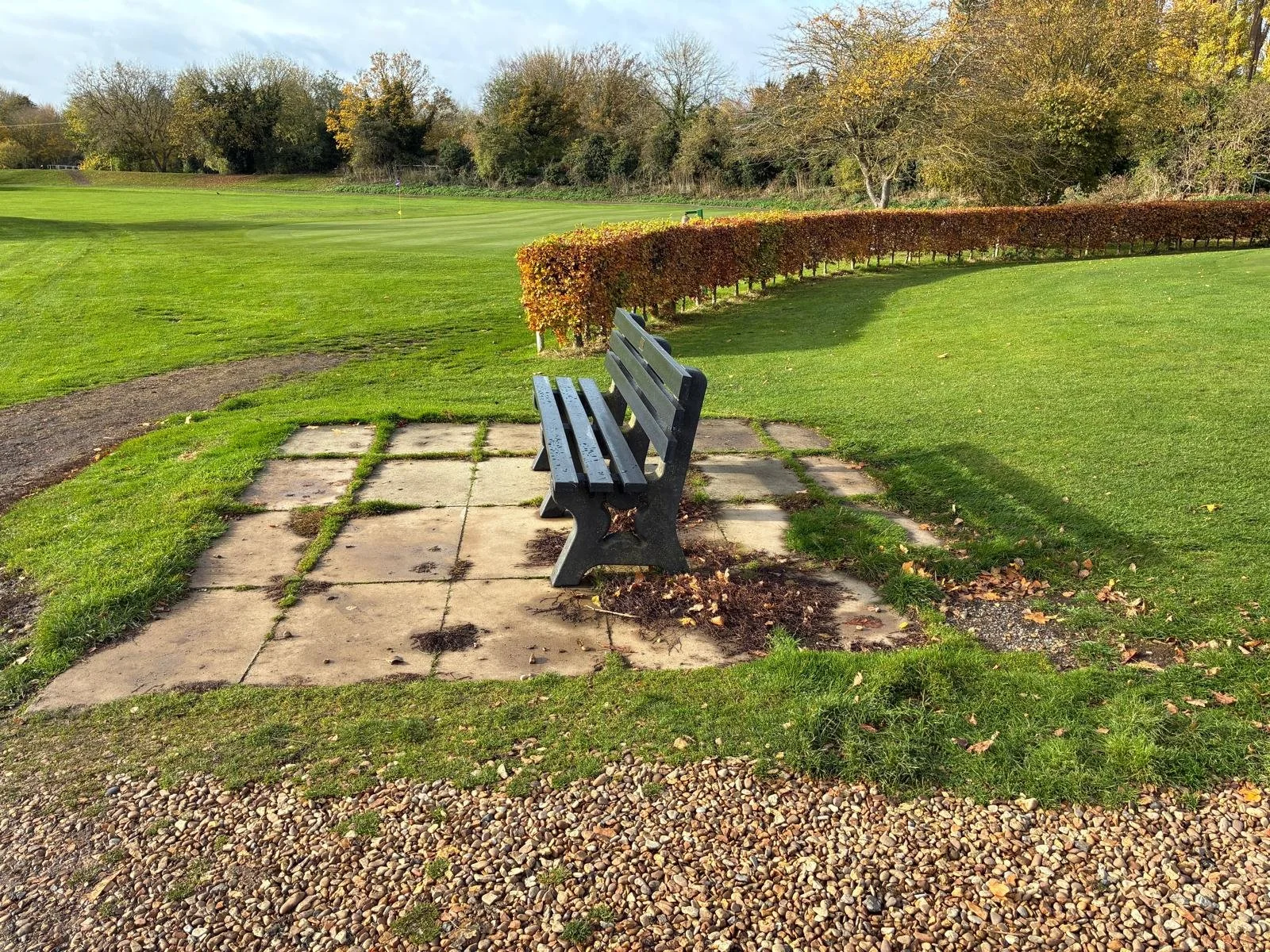 WhatsApp Image 2026-02-13 at 17.32.25.jpeg