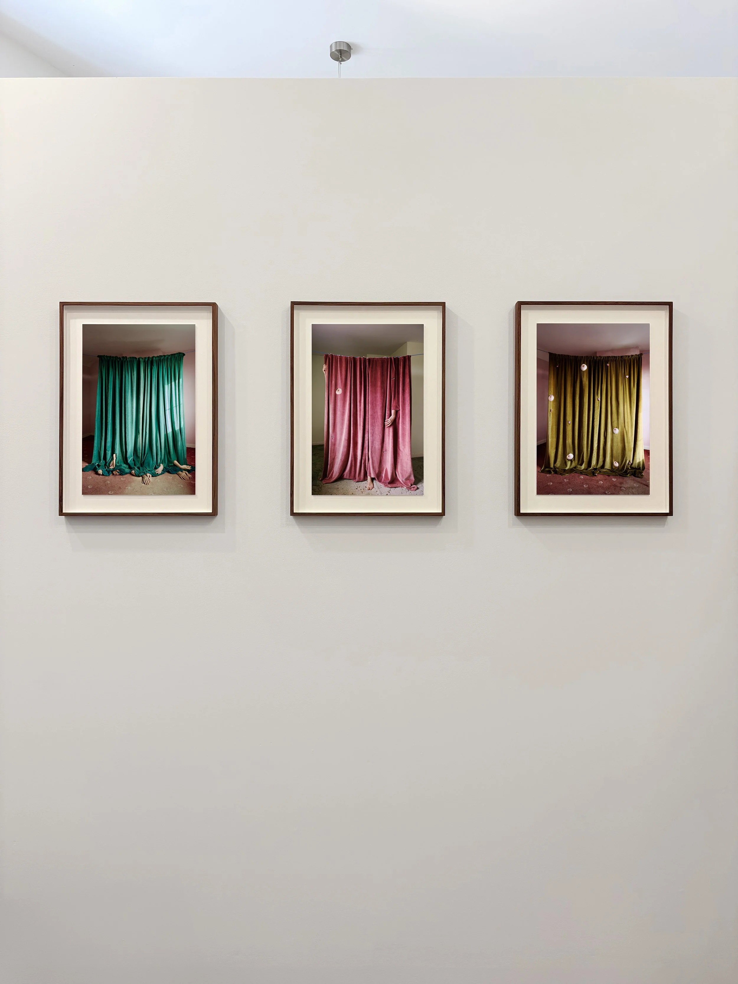 Polly Penrose