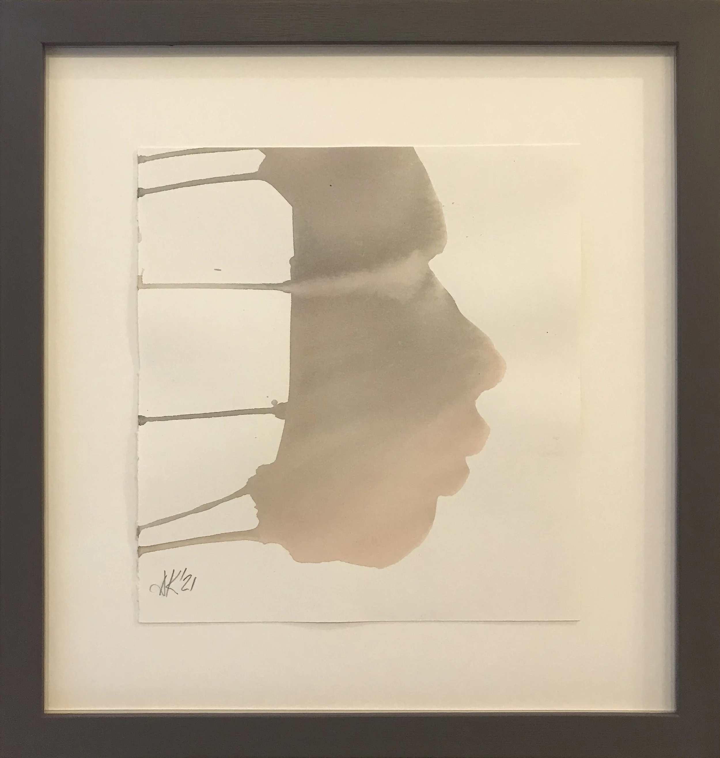 Dianne Kaufman masque.jpg