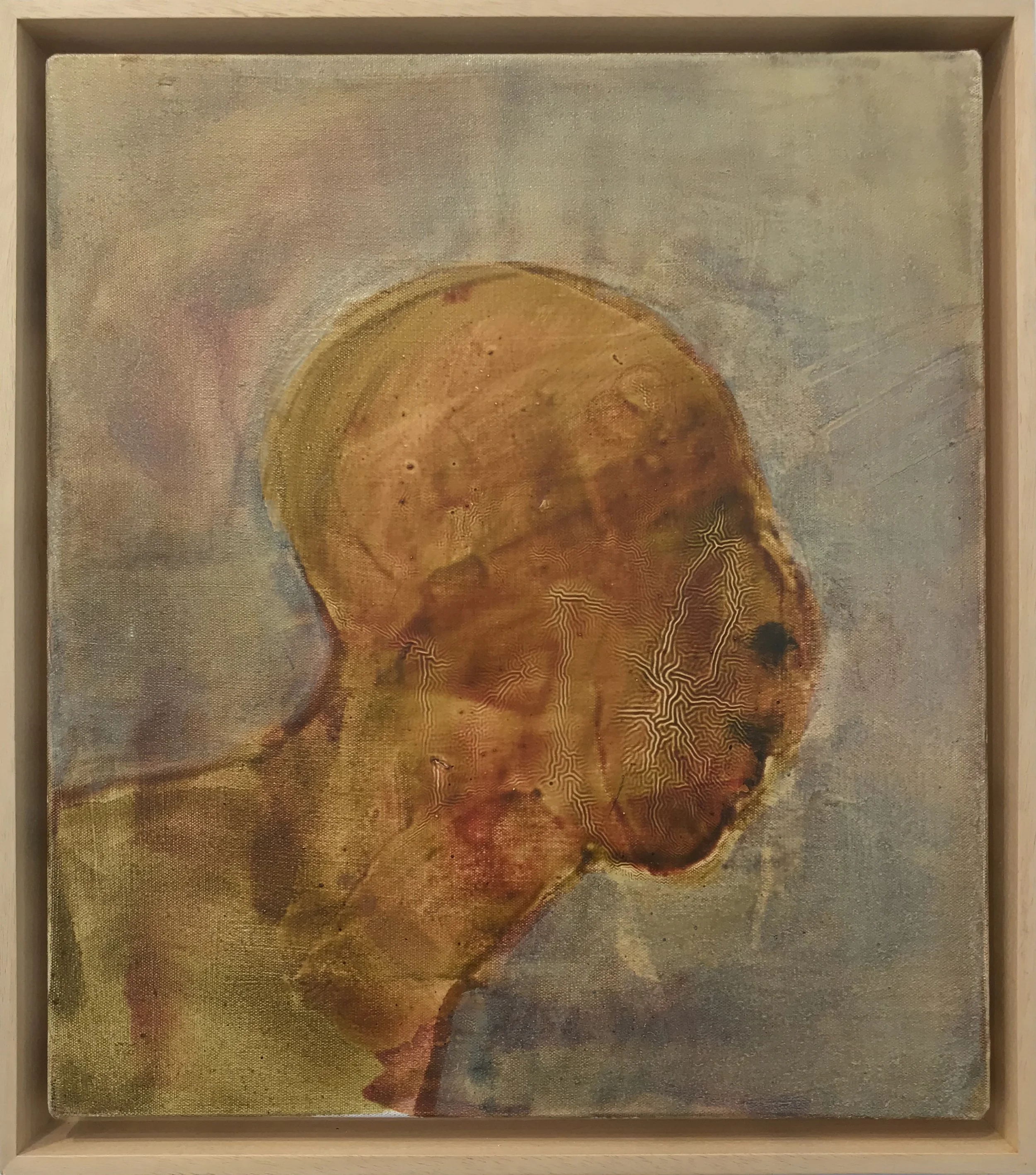 Dianne Kaufman Fractured profile.jpg