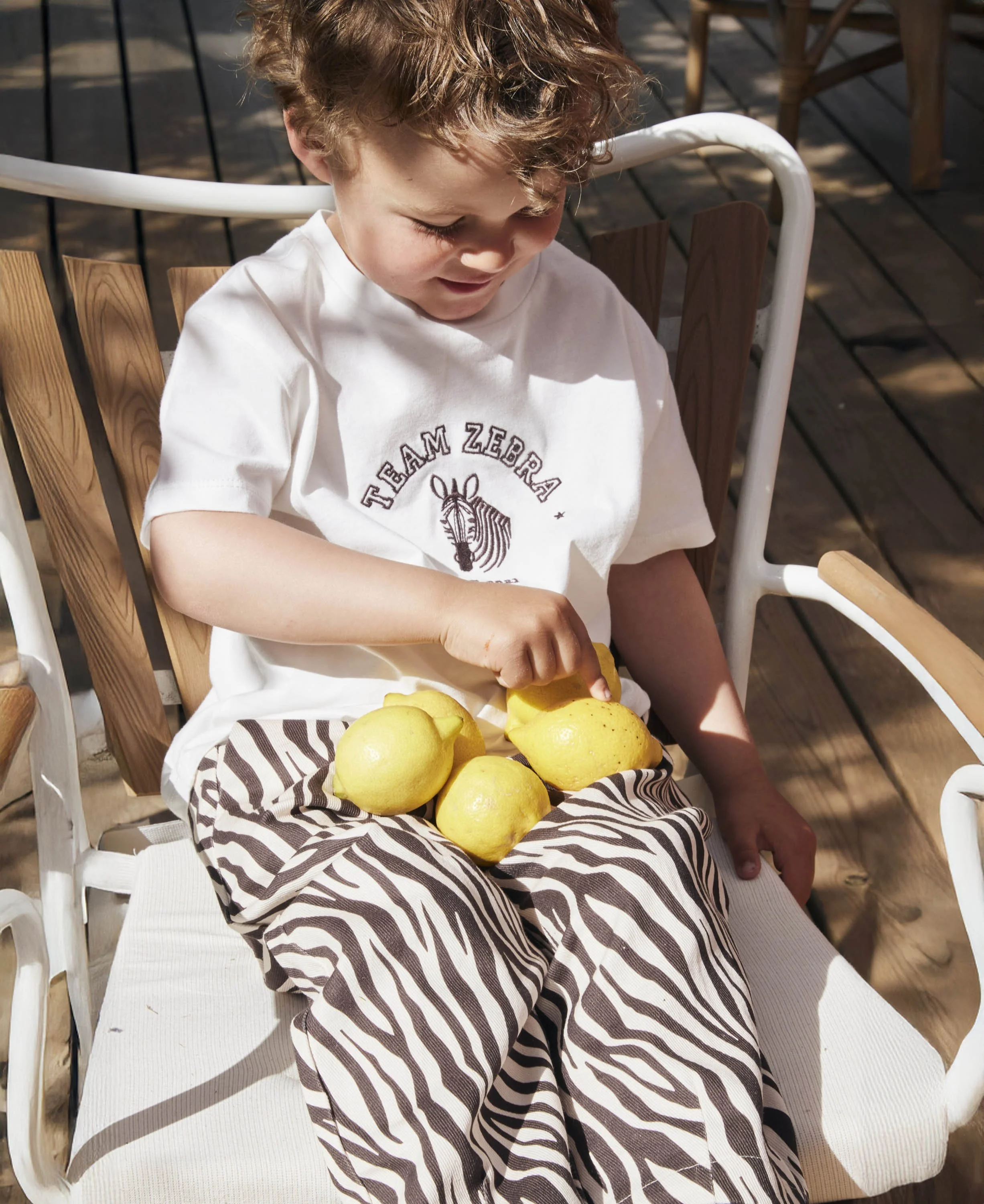 F1967 - ZEBRA AOP - Extra 2.jpg