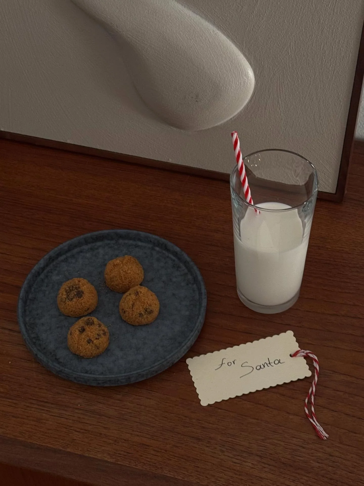 Holiday traditions never get old~ Milk and cookies for Santa 🥛🍪