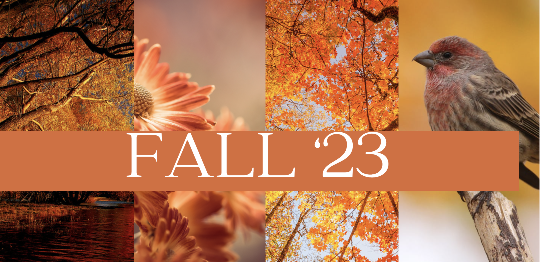 Fall ‘23 - Seasonal Summary