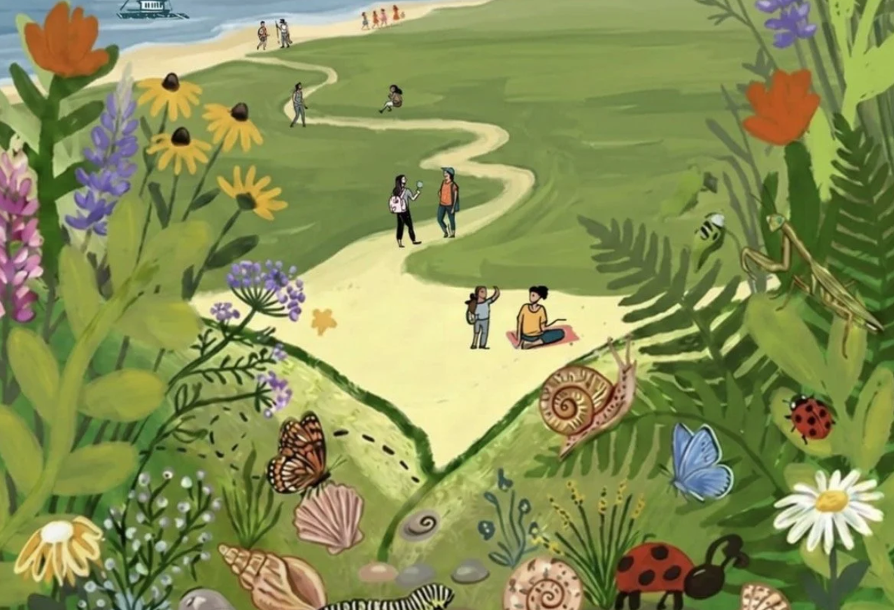 Netwalk in Nature