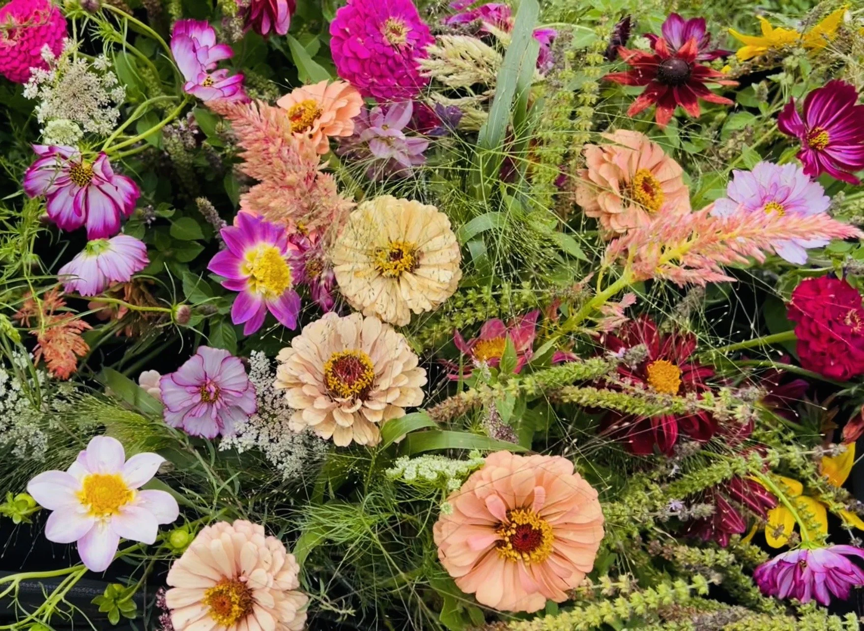 Bucket of Blooms, Farmers Choice