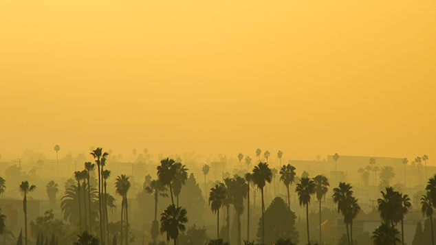 Golden Thick Hazy LA Sunset Skies