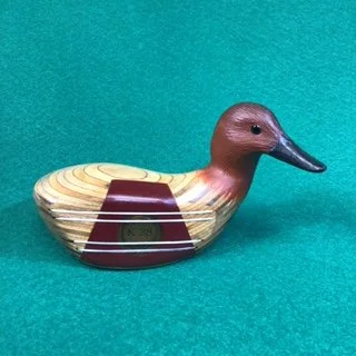 Cinnamon Teal
