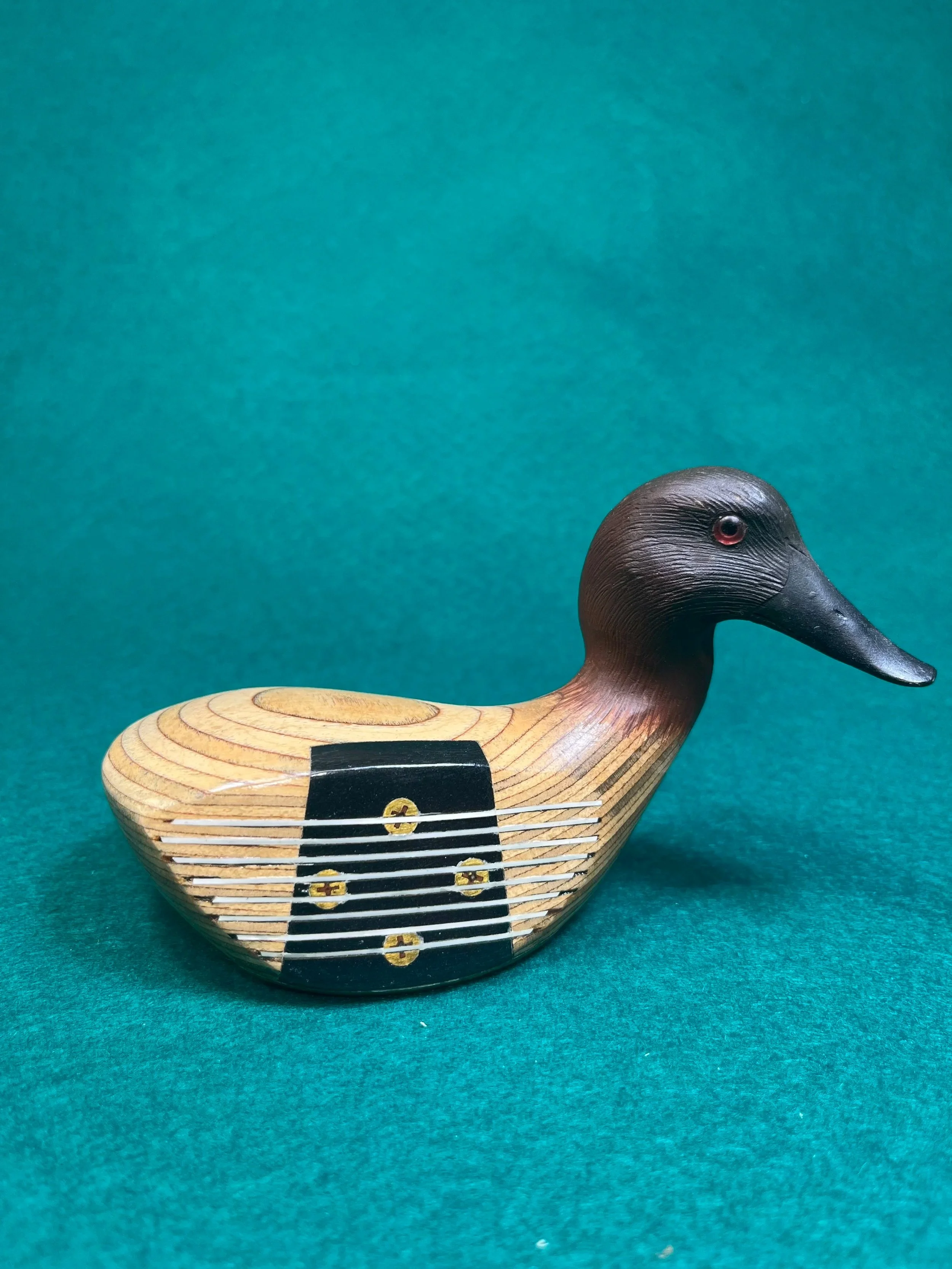 Canvasback