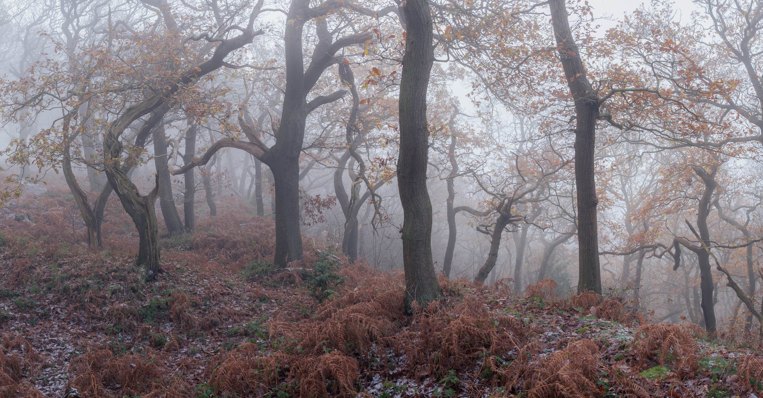 DSC_2346-Pano-Edit.jpg