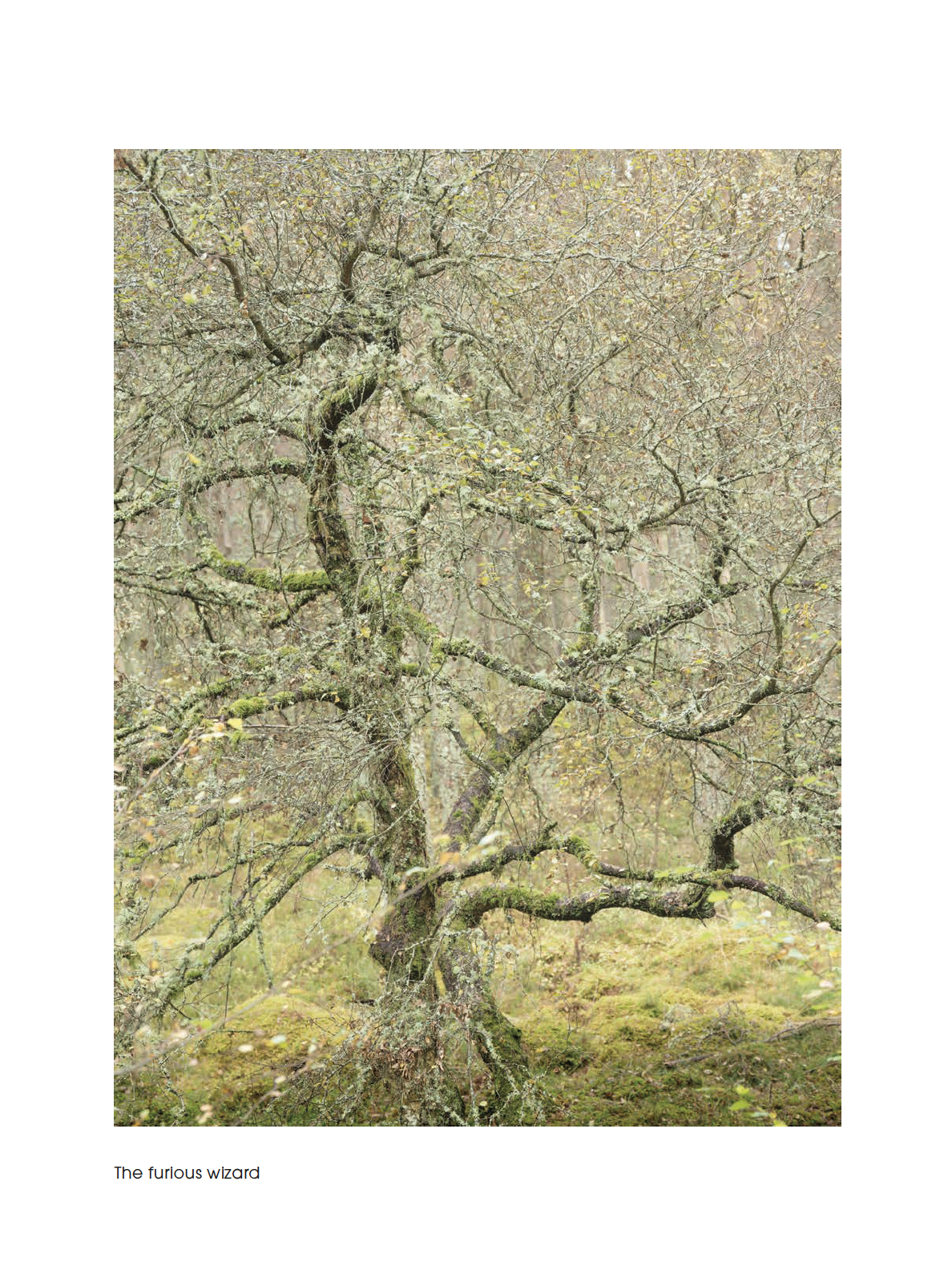 Screenshot 2026-01-04 at 13.19.13.png