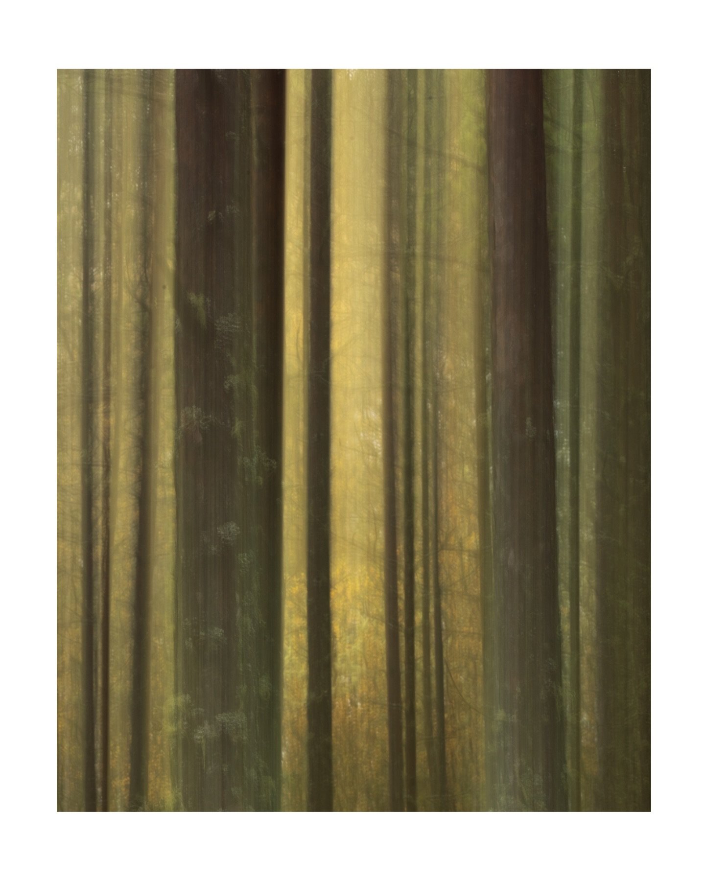 Your barred 

#Scotland #workshop #Elements