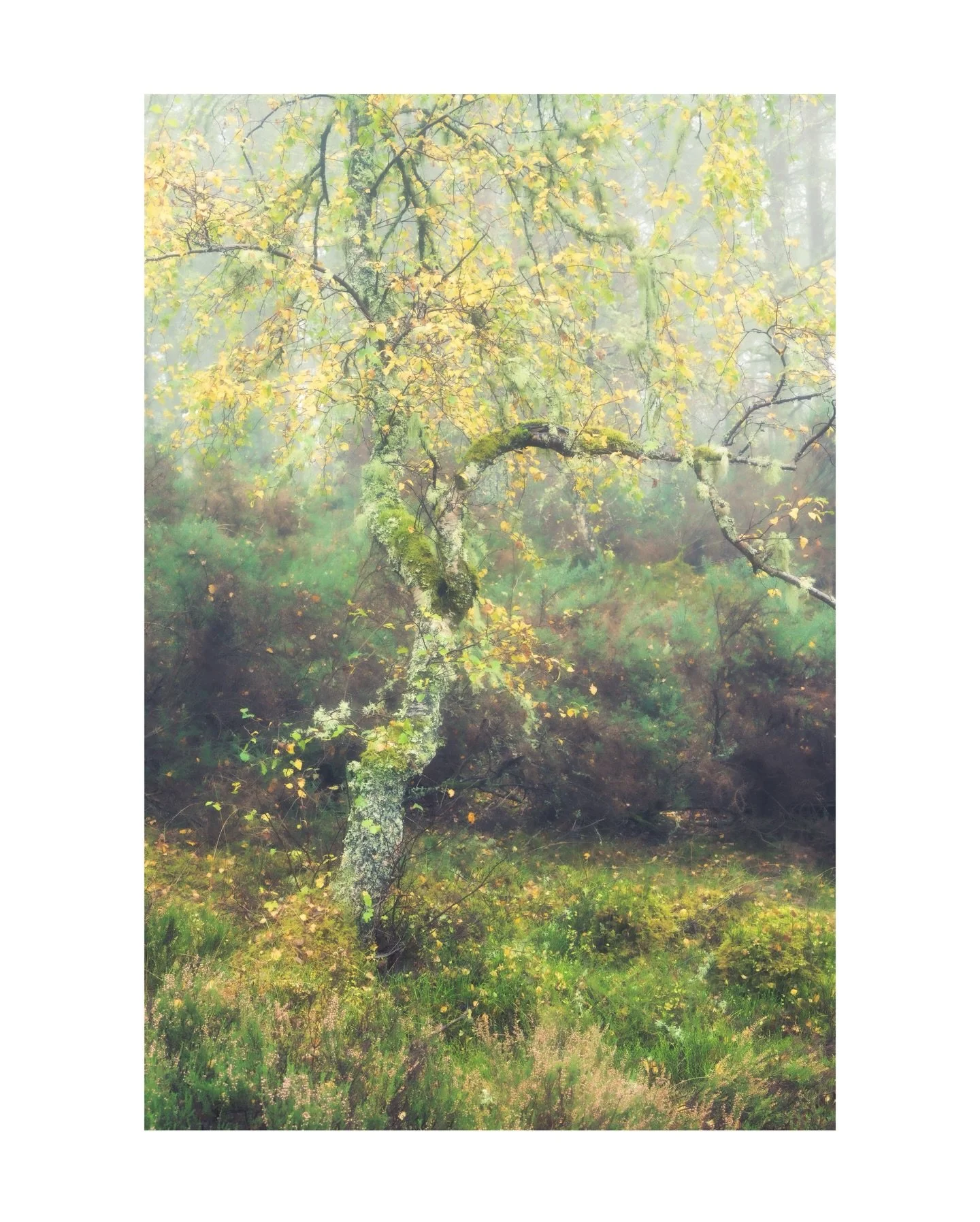 Side Show Bob 

Here is my last nights edit and a mad cap video from the Lake District will be out on Sunday, my 200th video!!

200 videos since I started in 2018. This has slowed down to the end of this year but is quite the milestone. I hope you&rs