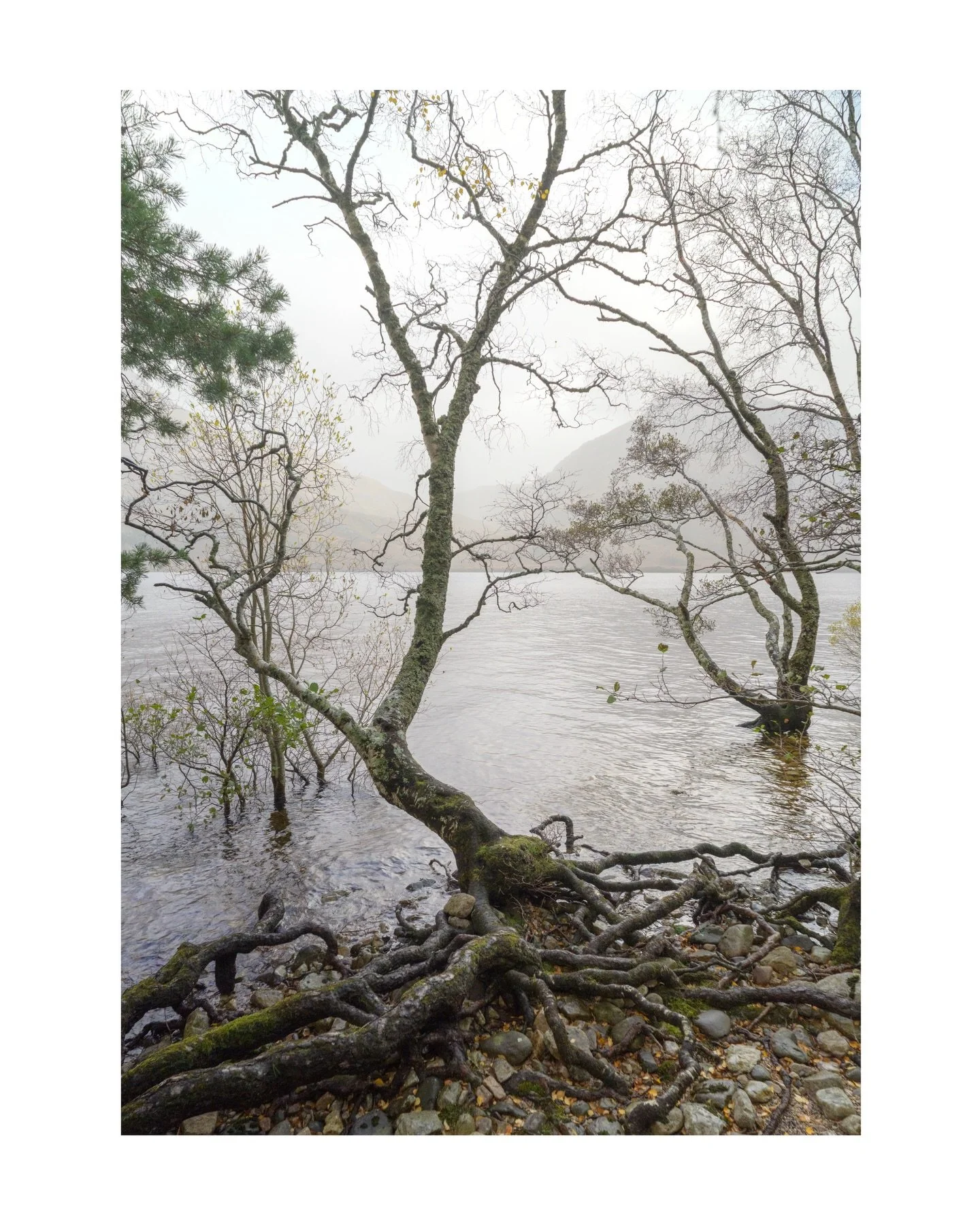 The Procrastinators

#scotland #lochmaree #elementsscotland2025