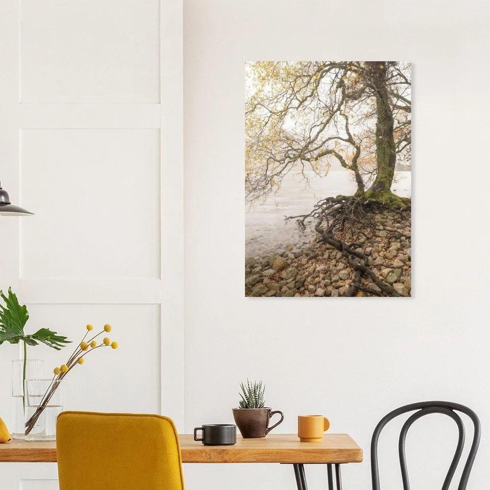 The Guardian Of Youth