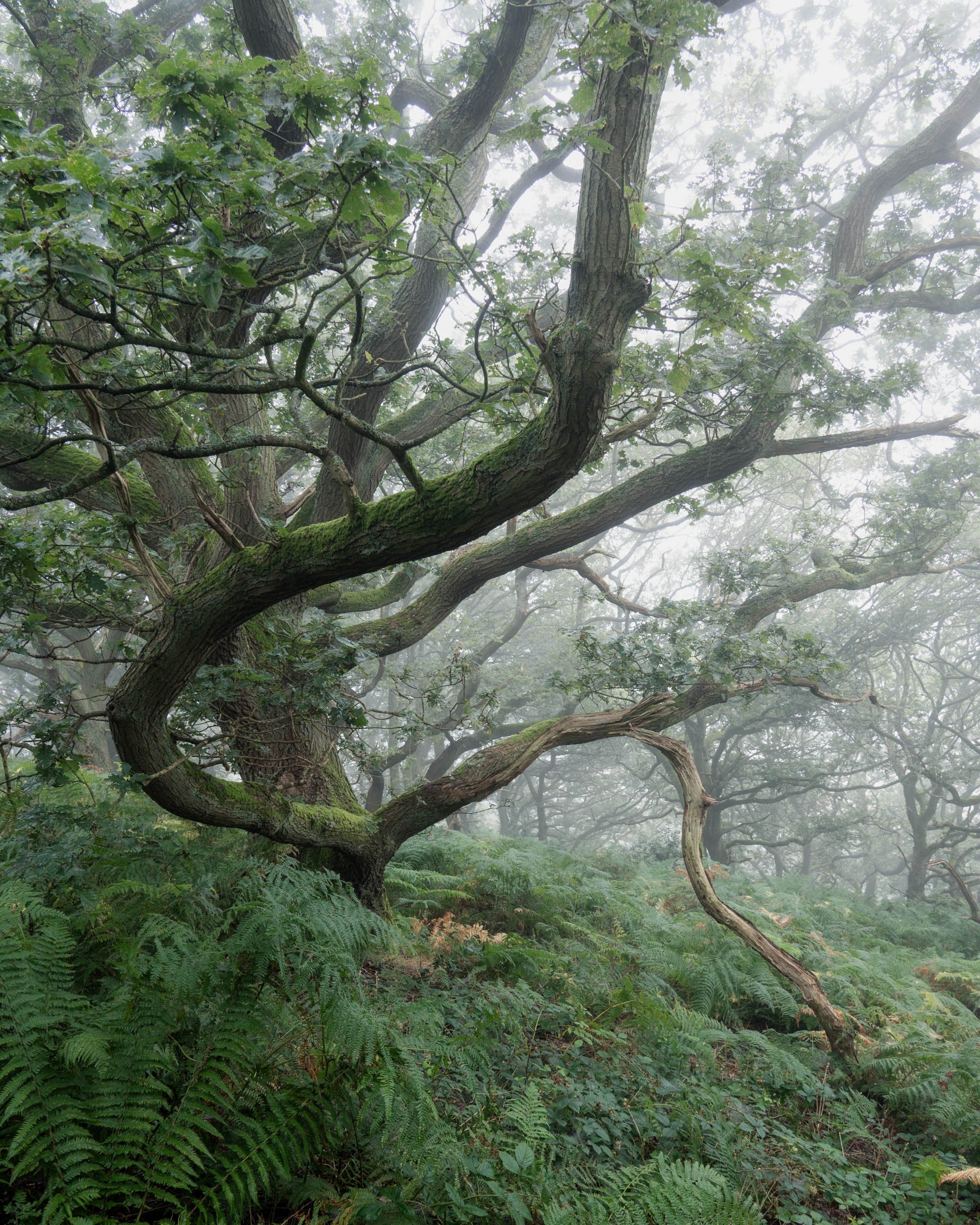 DSC_9164-Edit.jpg