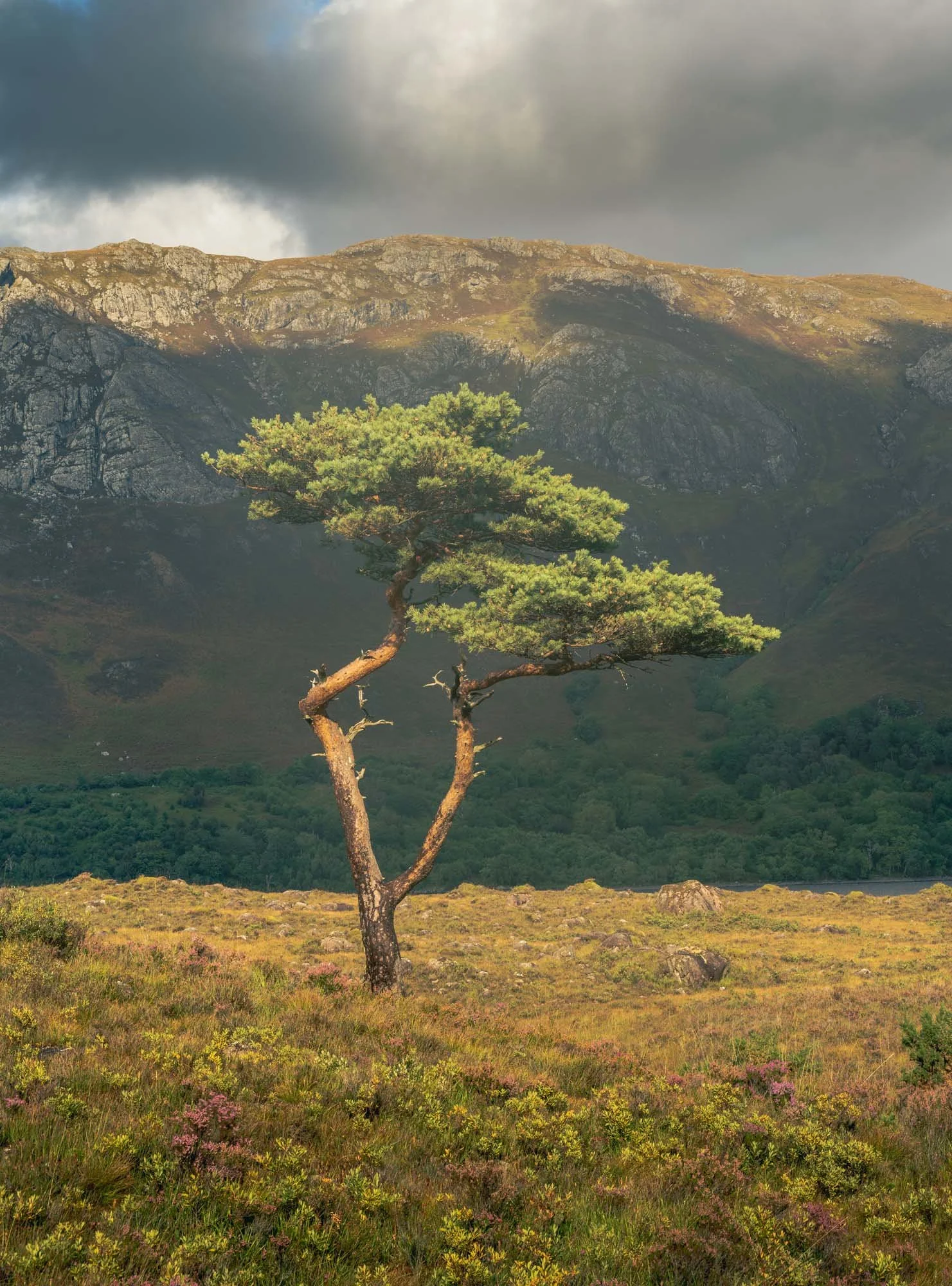 Scotland The Retreat-34.jpg