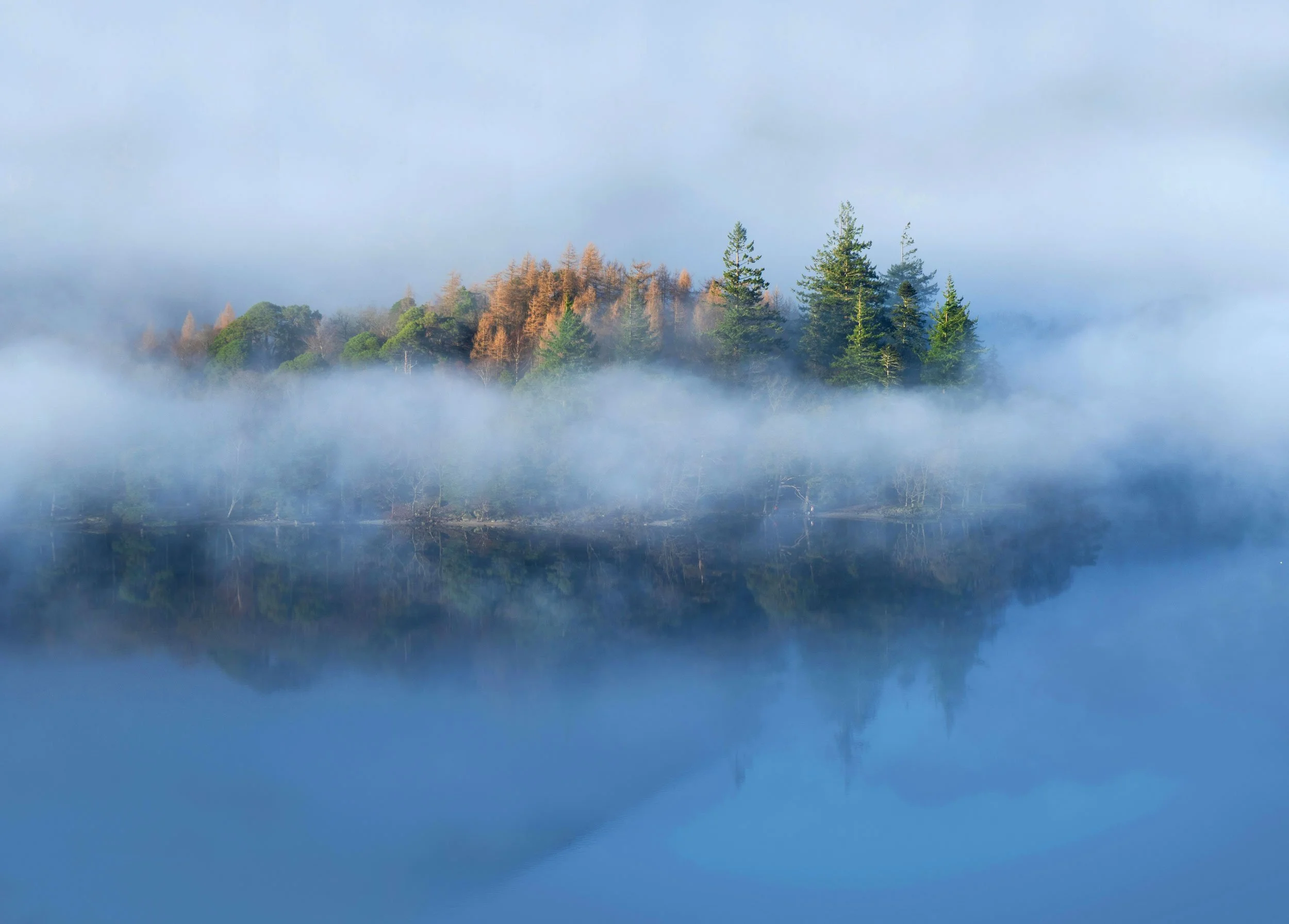 Foggy landscape with trees and their reflection on a calm lake surface.