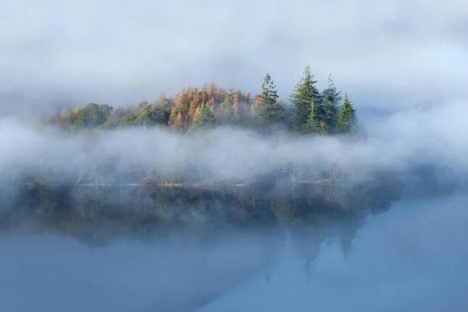Foggy landscape with trees and their reflection on a calm lake surface.