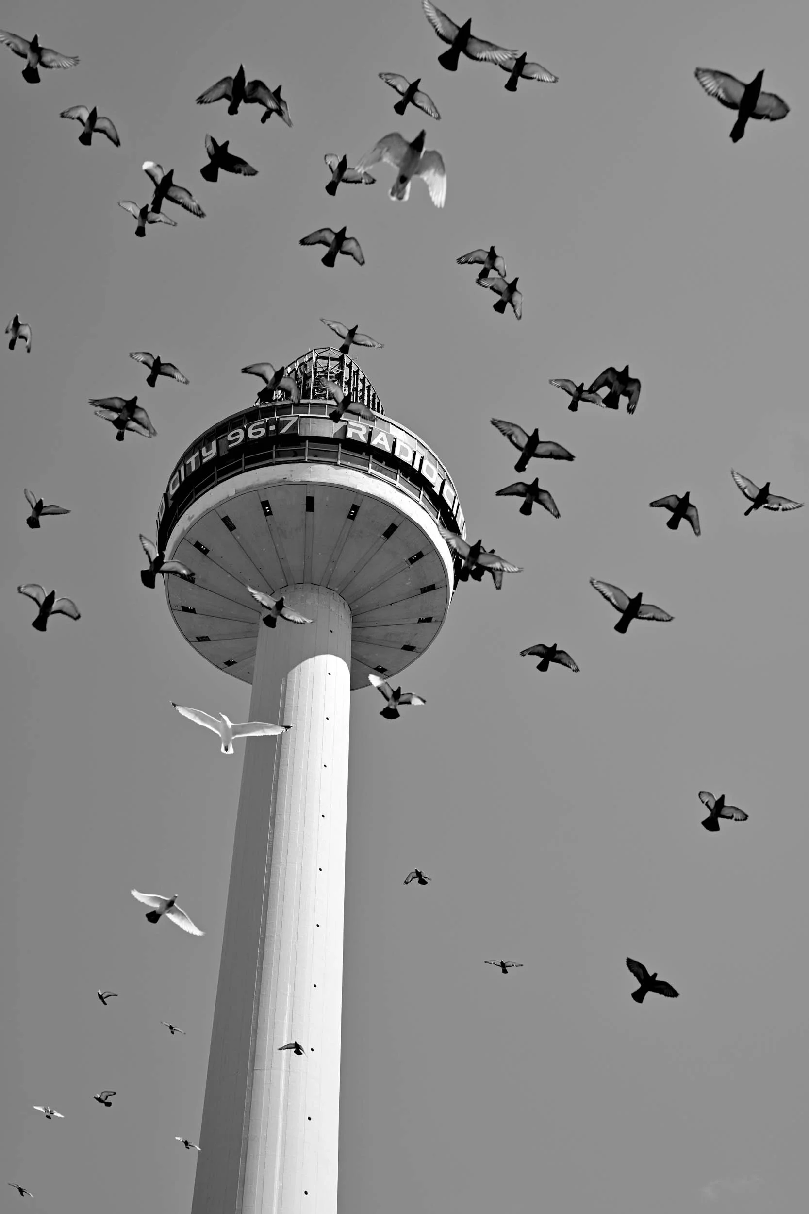 A tall tower with a circular observation deck near the top, surrounded by many flying birds in a gray sky.
