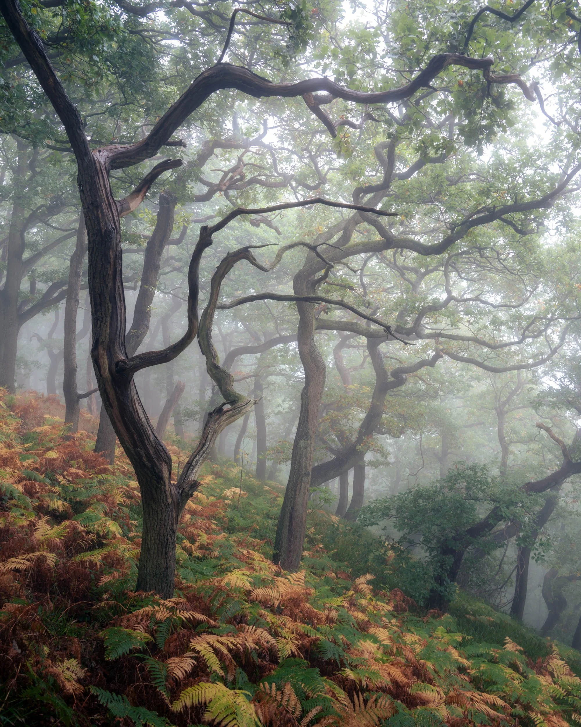 DSC_9617-Edit.jpg