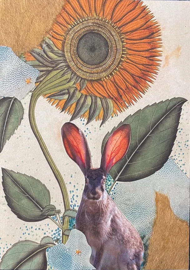 C.Hammond_Helianthus_Yellow_6x4Vjpg.jpg