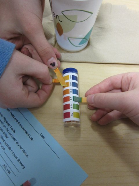 Checking pH levels.jpg