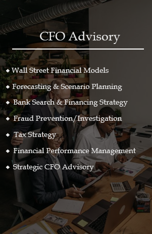 List of CFO advisory services on a business presentation slide, including Wall Street Financial Models, Forecasting & Scenario Planning, Bank Search & Financing Strategy, Fraud Prevention/Investigation, Tax Strategy, Financial Performance Management, Strategic CFO Advisory, with a background of a corporate meeting room.