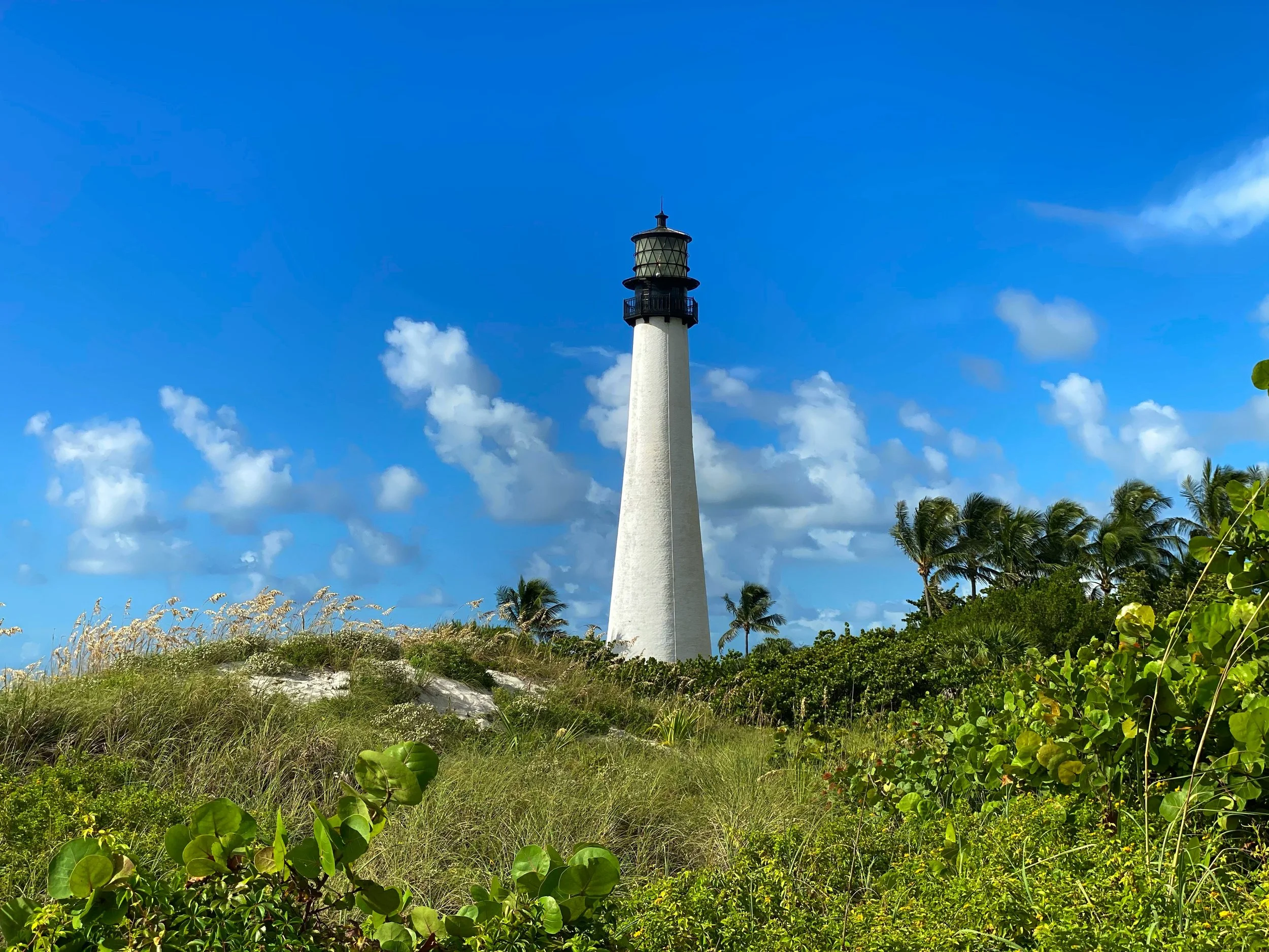 A lighthouse with a black top and white body stands against a bright blue sky with scattered clouds, surrounded by lush green tropical foliage.