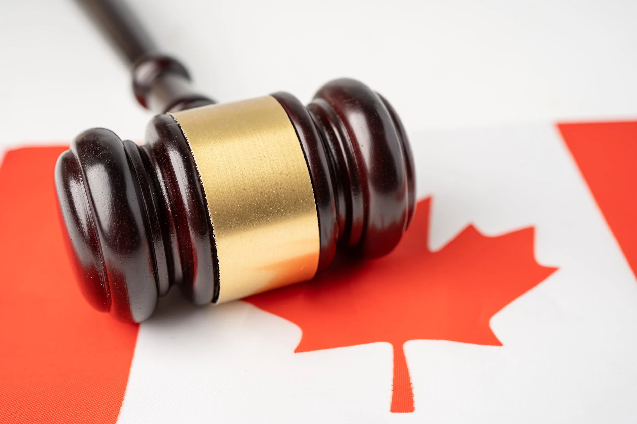 What Happens If My Refugee Appeal Is Denied?