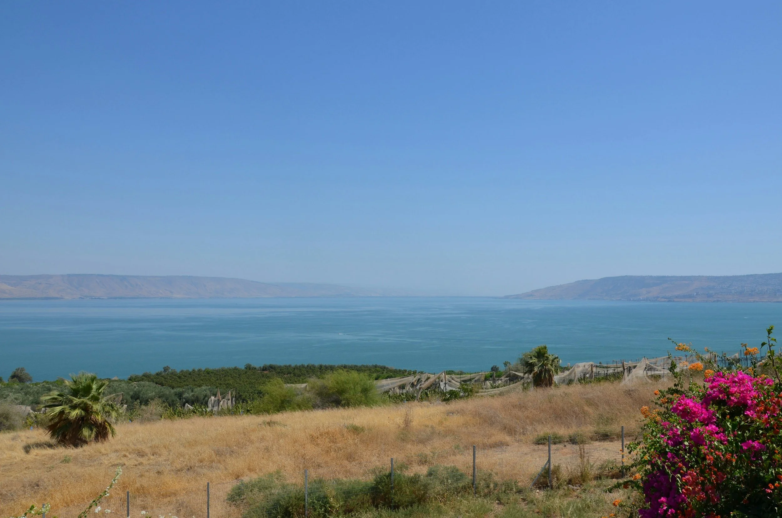 Capernaum