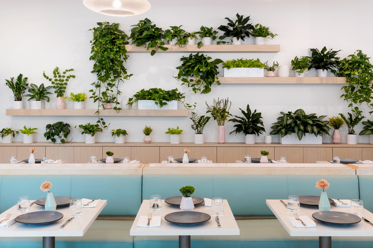 Amber_Scott_Design_Collins_Quarter_Forsyth_Park_03.jpg