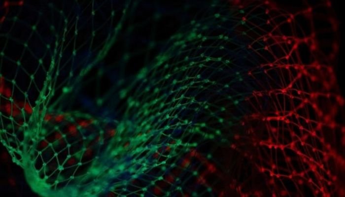The impact of a data breach