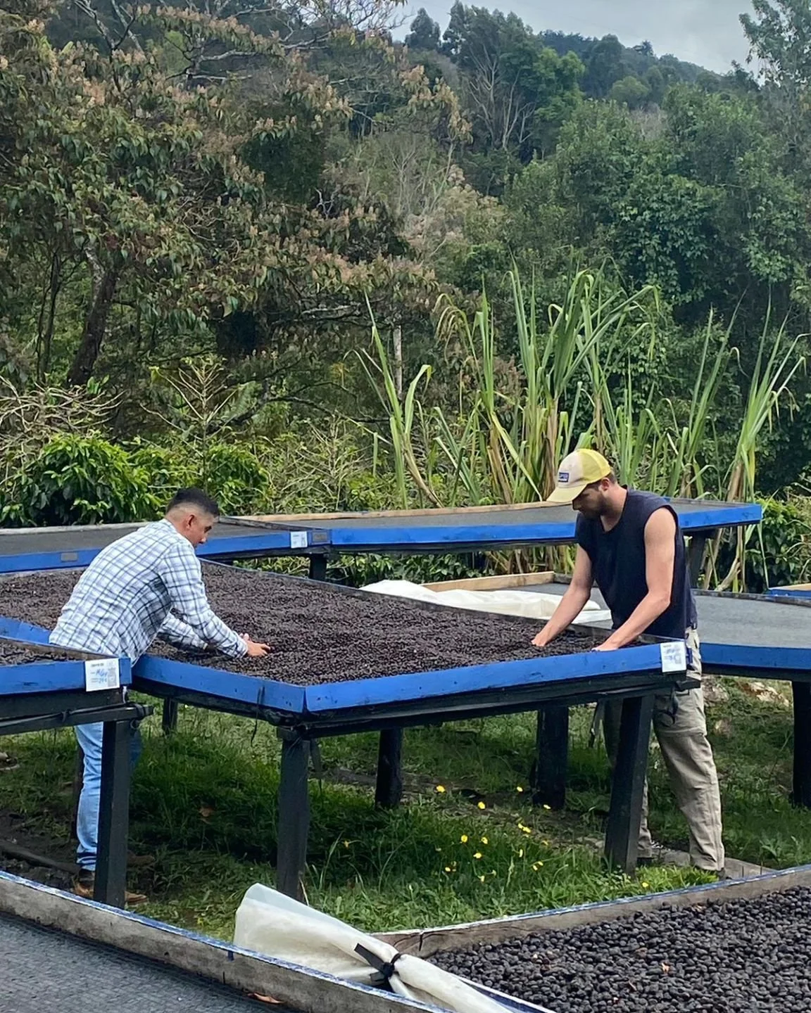 Bridging the Gap: Farmers &amp; Roasters United 🌍☕️
Coffee is community. By bringing roasters closer to farm life and sharing farmers' stories, we're fostering understanding and solidarity. Our goal? A united supply chain that uplifts everyone. Futu
