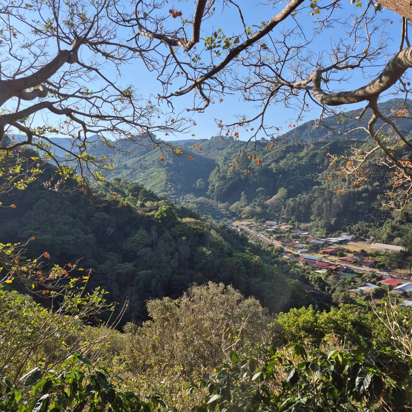 Costa Rica holds a special place in our journey 🌄🇨🇷
This is where our exploration of coffee origins truly began. We&rsquo;ve met amazing people, learned so much about coffee growing, and discovered a deep connection to this incredible region.

Thi
